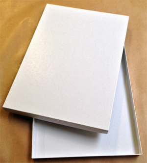 PACK de 10 boites blanches neutres pour stockage photos<br>Format : A3 (épaisseur 15mm)